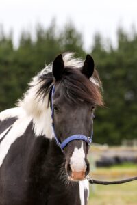 Let's talk about Viewings